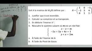 ALGEBRE : SYSTÈME D'EQUATIONS LINÉAIRES ET INVERSE DE MATRICE - EXERCICE CORRIGE 1