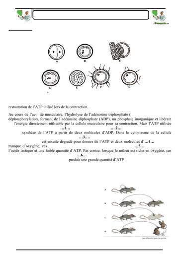 SUJET 06 PREPA BAC D ELITE RENFO 2024 BY TEHUA