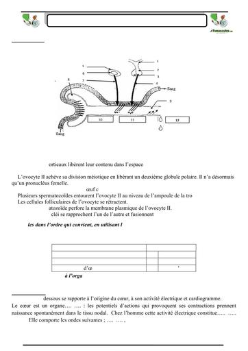 SUJET 05 PREPA BAC D ELITE RENFO 2024 BY TEHUA