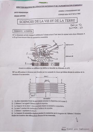 Partiel décembre 2024 Svt Tle D Up 13 adama sanogo by Tehua