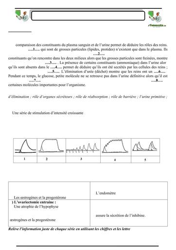 SUJET 04 PREPA BAC D ELITE RENFO 2024 BY TEHUA