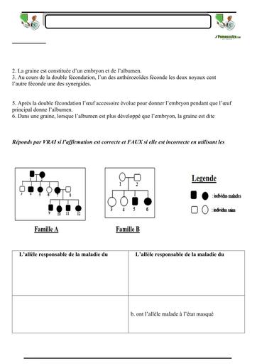 SUJET 10 PREPA BAC D ELITE RENFO 2024 SERIE 1 BY TEHUA