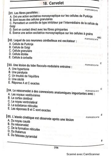 Infas Qcm s v physio part 2 by Tehua