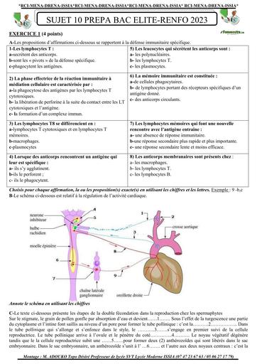 SUJET 10 PREPA BAC D ELITE RENFO 2024 SERIE 2 BY TEHUA