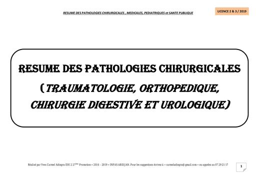 Cours RESUME DES 4 MATIERES CORRIGES infirmiers by TEHUA