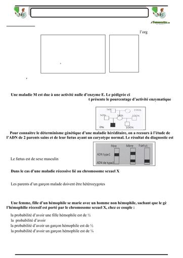 SUJET 08 PREPA BAC D ELITE RENFO 2024 SERIE 1 BY TEHUA