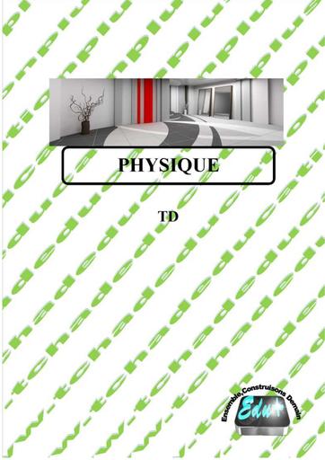 Physique TLe D