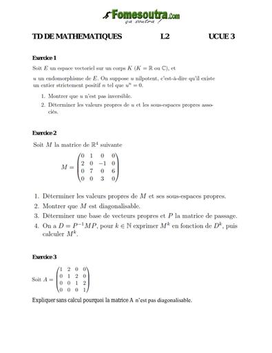 UFHB de Cocody Sujet OPTIMISATION Complet TD Math L2 ECUE 3  by TEHUA