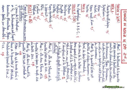 Composition generale Decembre 2024 UP 13 ADAMA SANOGO BAREME SVT 2nde C 1 by Tehua