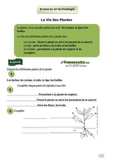 La Vie Des Plantes - Cours CE1