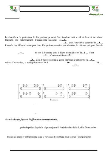 SUJET 11 PREPA BAC D ELITE RENFO 2024 BY TEHUA