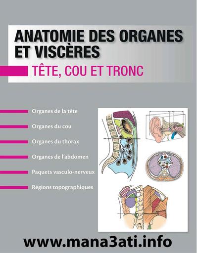 Anatomie des organes et viscères