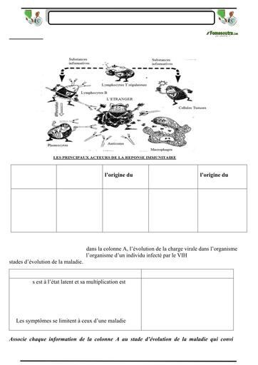 SUJET 01 PREPA BAC D ELITE RENFO 2024 ISSIA BY TEHUA