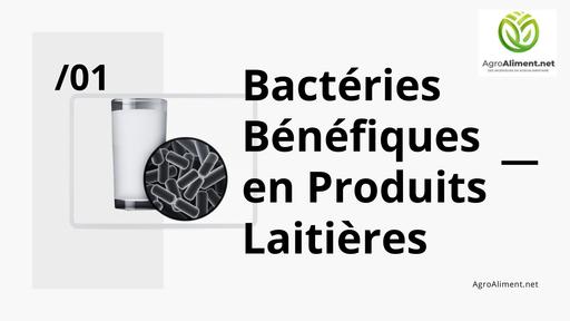 Bactéries Bénéfiques Dans les Produits Laitières by Tehua