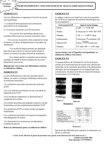 FICHE D'EXERCICES MUSCLE STRIE SQUELETTIQUE by Tehua