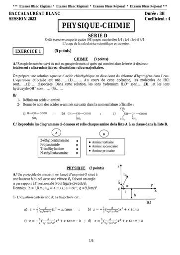 Physique Chimie BAC D blanc 23 by Tehua