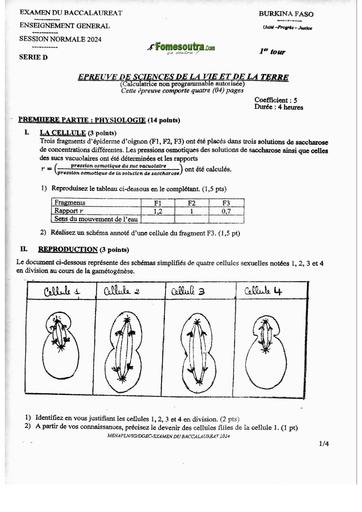 SUJET+BAREME BAC D 2024 BF SVT serie D 1ier tour by TEHUA