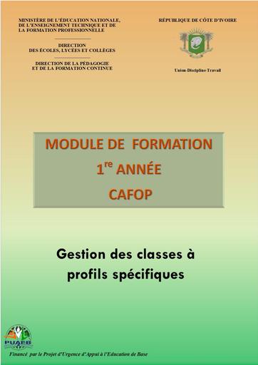 GESTION DES CLASSES A PROFILS SPECIFIQUES by Tehua