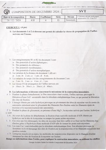 Composition generale Decembre 2024 Svt Tle D sainte foi abobo by Tehua