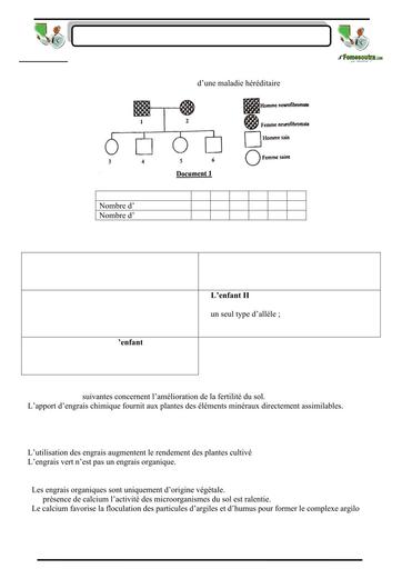 SUJET 12 PREPA BAC D ELITE RENFO 2024 BY TEHUA