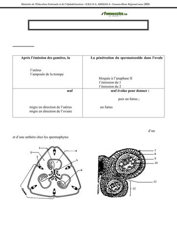 SUJET SVT Tle D BACCALAURÉAT BLANC RÉGIONAL MARS 2024 DREN ABIDJAN 4 by TEHUA