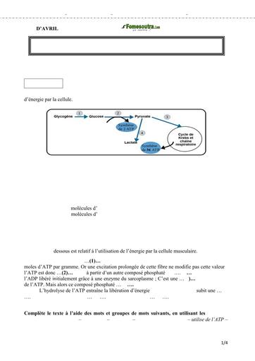 SUJET SVT Tle C BACCALAURÉAT BLANC RÉGIONAL AVRIL 2023 DREN ABIDJAN 4 by TEHUA