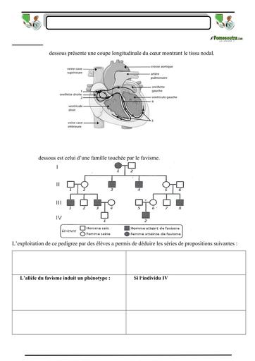 SUJET 03 PREPA BAC D ELITE RENFO 2024 BY TEHUA