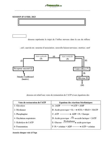 SUJET SVT Tle D BACCALAURÉAT BLANC RÉGIONAL AVRIL 2023 DREN FERKE by TEHUA