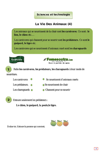 La Vie Des Animaux (4) - Cours CE1
