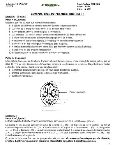 Composition generale Decembre 2024 UP 13 ADAMA SANOGO SUJET SVT 1iere D by Tehua